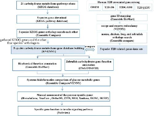 Zhang Y Et Al 2018 A Comparative Genomics Study Of Carbohydrate