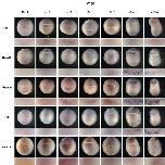 Xenbase Expression Image Xenbase Expression Image