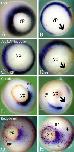 Expression Image Expression Image