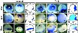 Expression Image Expression Image