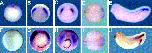 Expression Image Expression Image