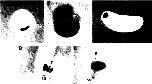 Expression Image Expression Image