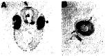 Expression Image Expression Image