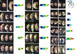 Expression Image Expression Image