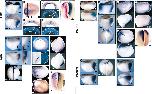 Expression Image Expression Image