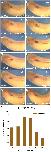 Expression Image Expression Image