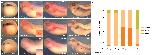 Expression Image Expression Image
