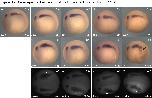 Expression Image Expression Image