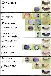 Expression Image Expression Image