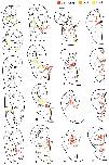 Expression Image Expression Image