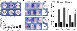 Expression Image Expression Image