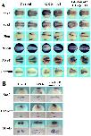 Expression Image Expression Image