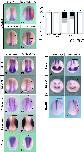 Expression Image Expression Image