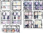 Expression Image Expression Image