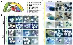 Expression Image Expression Image