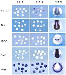 Expression Image Expression Image