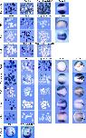 Expression Image Expression Image