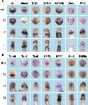 Expression Image Expression Image