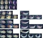 Expression Image Expression Image