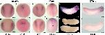 Expression Image Expression Image
