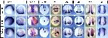 Expression Image Expression Image