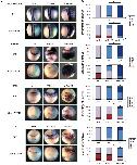 Expression Image Expression Image
