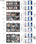 Expression Image Expression Image