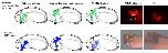 Expression Image Expression Image
