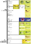 Expression Image