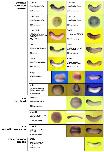 Expression Image