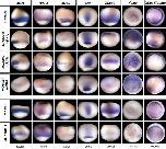 Expression Image