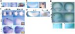 Expression Image Expression Image