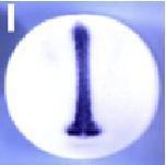 Expression Image