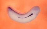 Expression Image