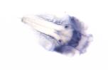 Expression Image