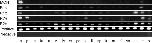 Expression Image