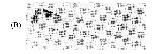Expression Image