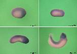 Expression Image