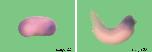 Expression Image