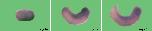Expression Image