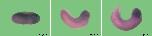 Expression Image