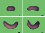 Expression Image