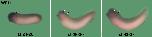 Expression Image