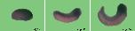 Expression Image