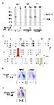 Expression Image
