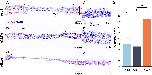 Expression Image