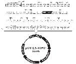 Expression Image