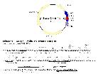 Expression Image