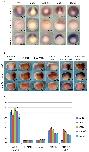 Expression Image