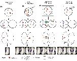 Expression Image